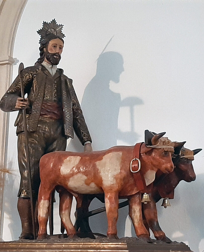 Imagen expuesta de San Isidro Labrador.